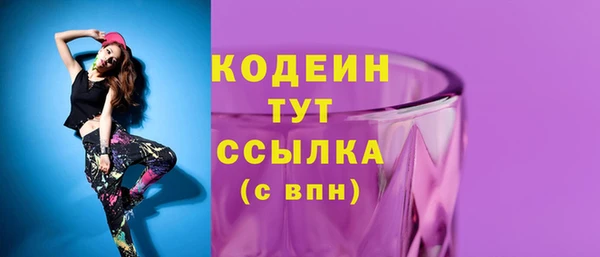 спиды Лабытнанги