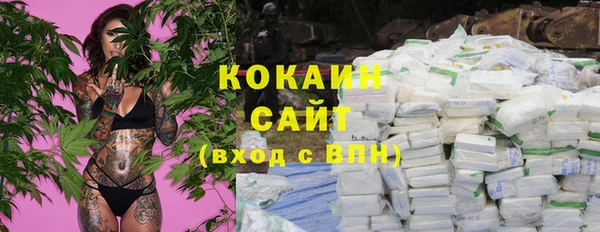 PSILOCYBIN Кулебаки