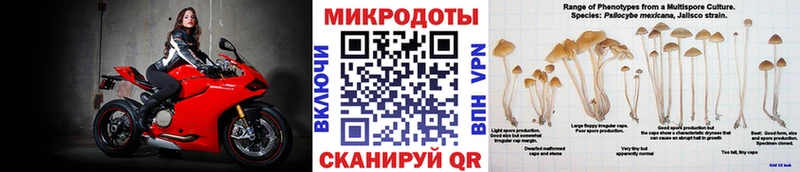 Галлюциногенные грибы прущие грибы  где купить наркотик  KRAKEN   Лесозаводск 