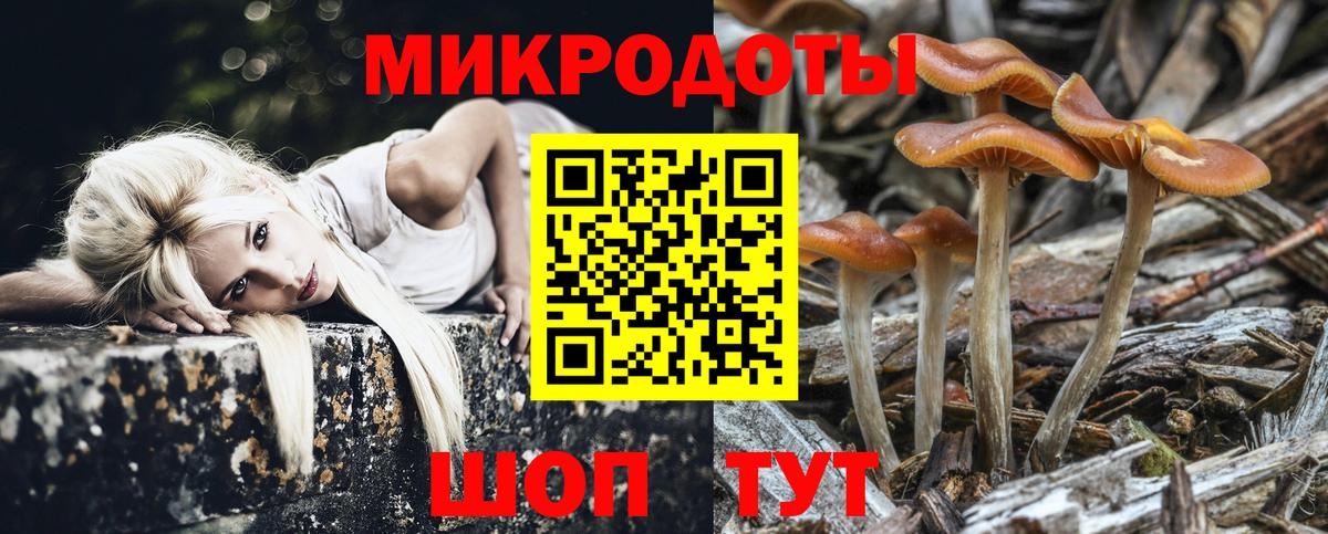 Псилоцибиновые грибы мухоморы Лесозаводск